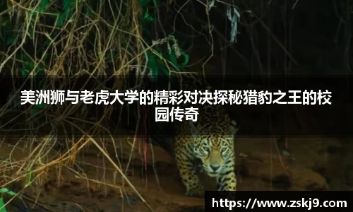 美洲狮与老虎大学的精彩对决探秘猎豹之王的校园传奇